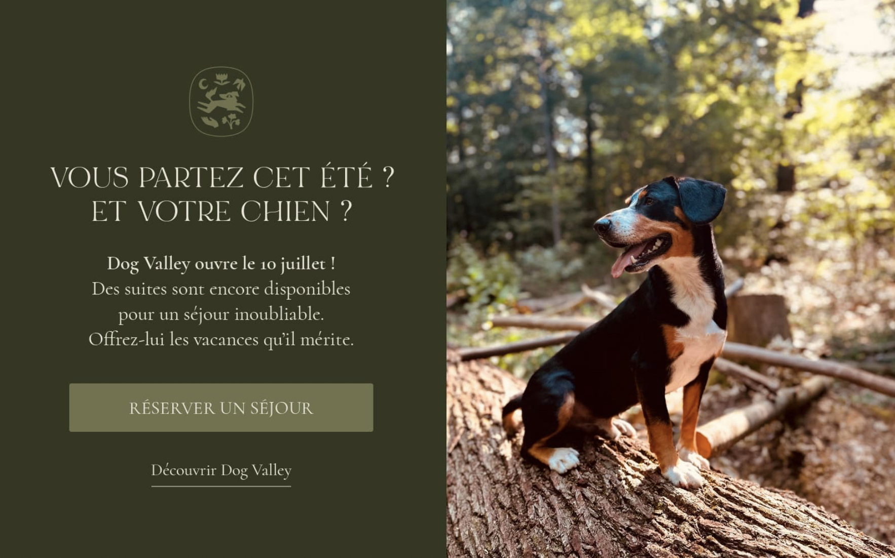 Popup Image