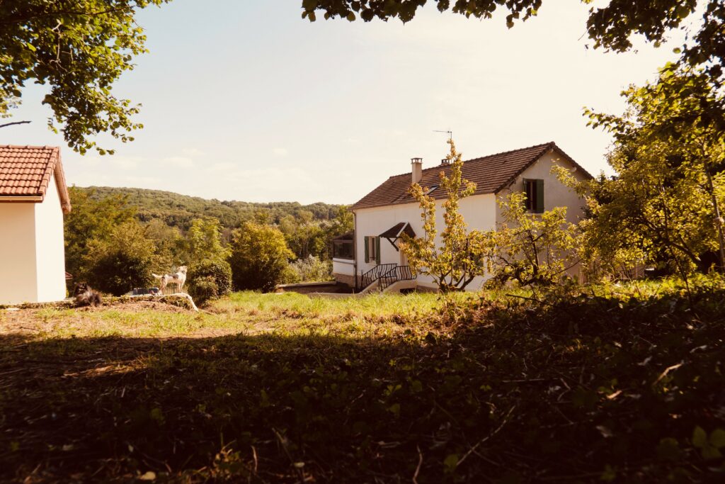 Vision générale du resort premium Dog Valley