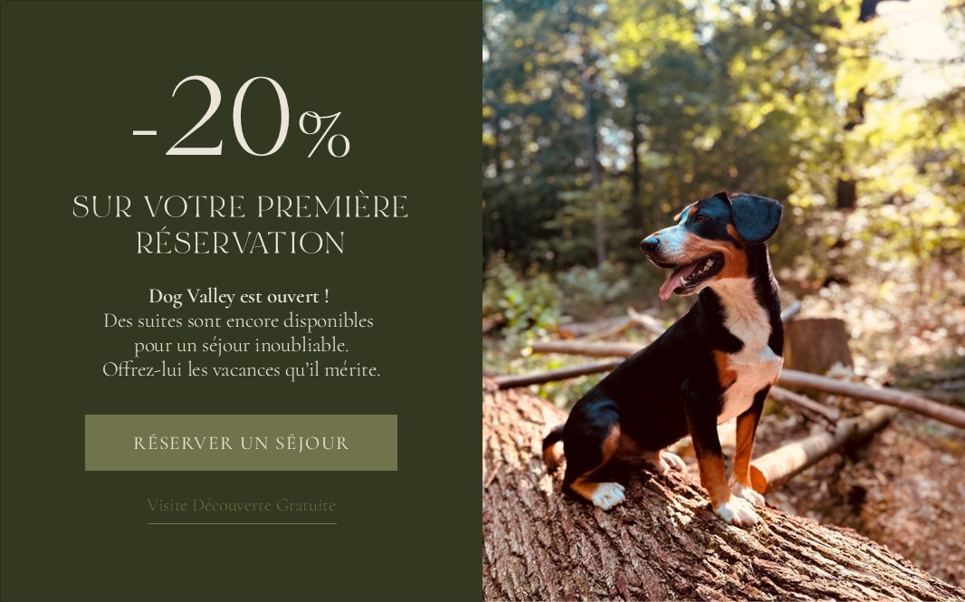 Popup Image