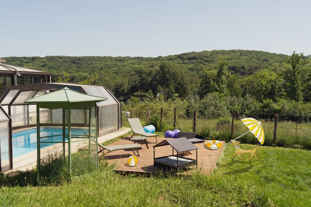 Piscine couverte pour chiens au resort canin Dog Valley à Saint-Chéron